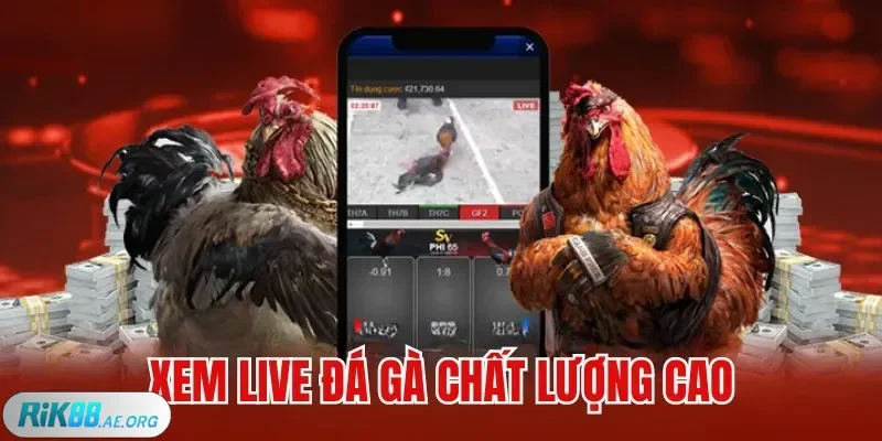 Tiến trình theo dõi tại Rik88